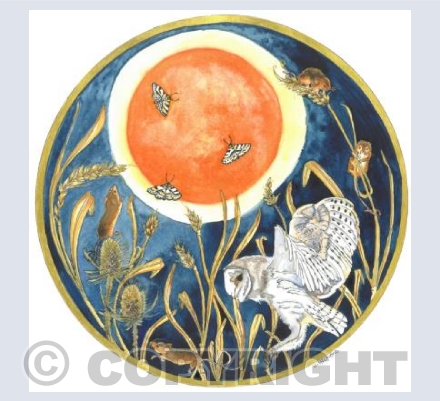 Harvest Moon