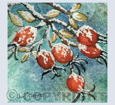 Rosehips on Ice