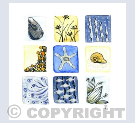 Impressions of the Beach