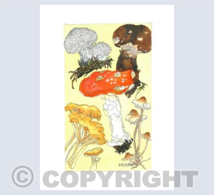 An Autumn Walk by the River Nethy