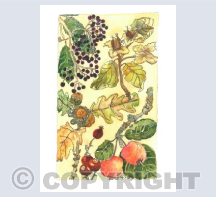 An Autumn Walk Beside the River Spey.