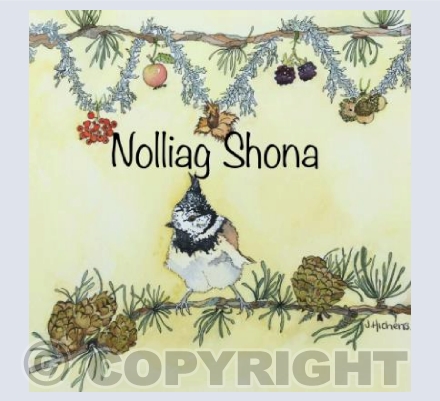 Nolliag Shona
