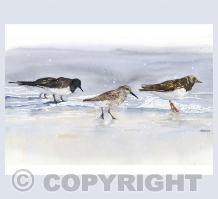 The Waders