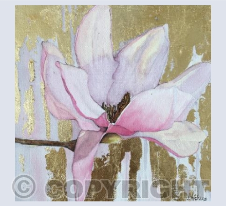 Magnolia 1