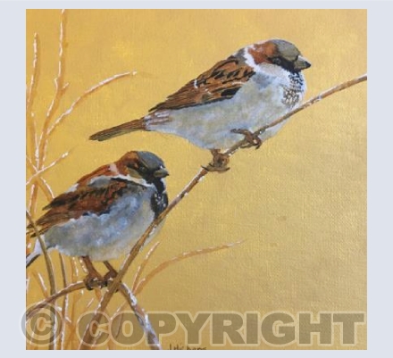 A Cold and Frosty Morning