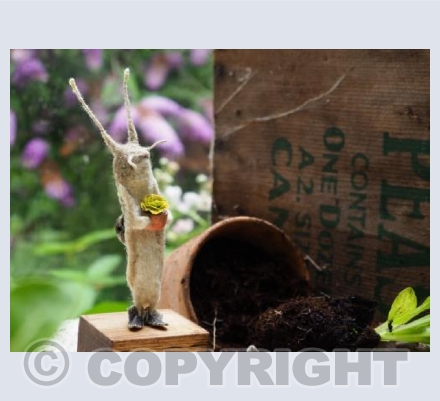 Monsieur Pierre Escragot