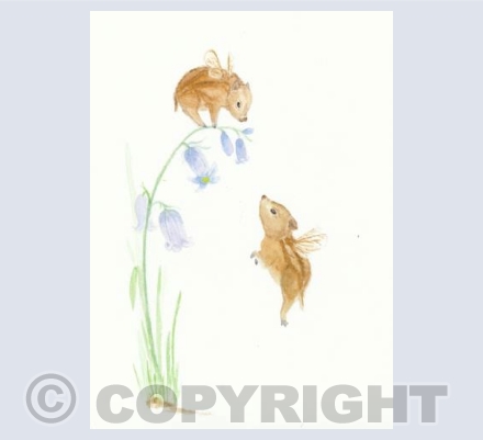 Bumblehogs and Bluebells