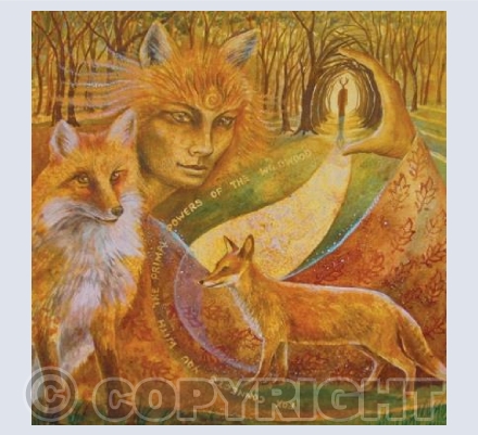 'Fox Maiden' | GRSC12