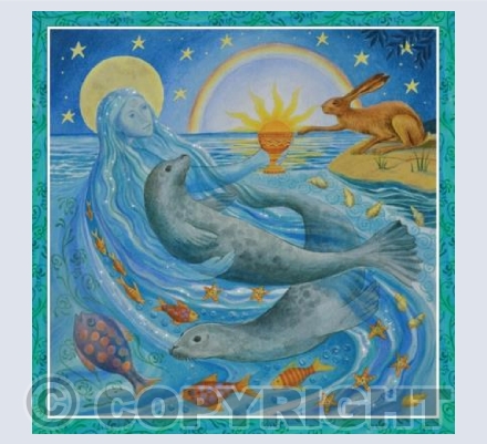 'Summer Solstice' | GRGF04