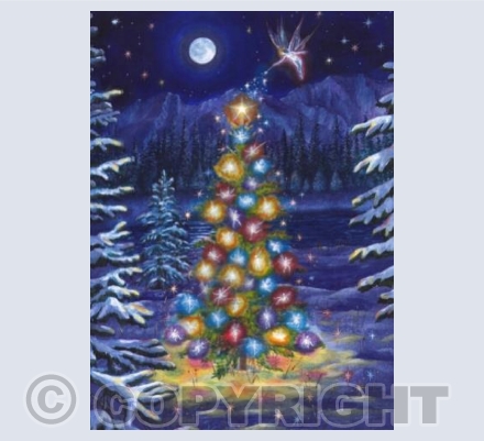 'Faerie Lights' | Y06