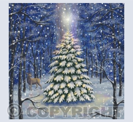 'Silent Night' | Y34