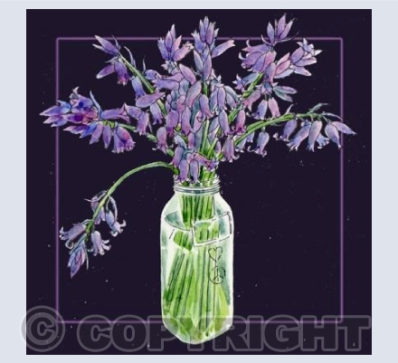 Bluebells | GRMNG02
