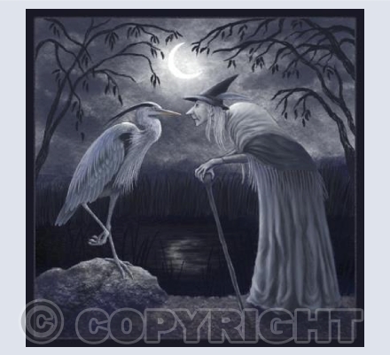 Sharing Heron Wisdom | GRSC21