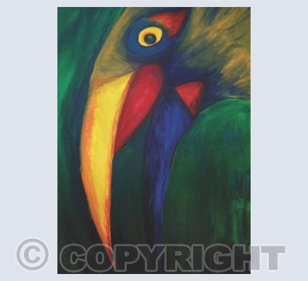 Toucan