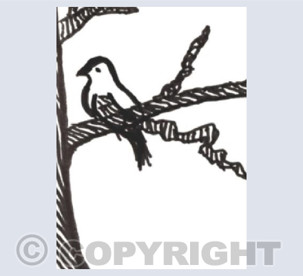 The Mustard Tree