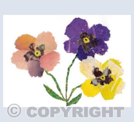 Pansies