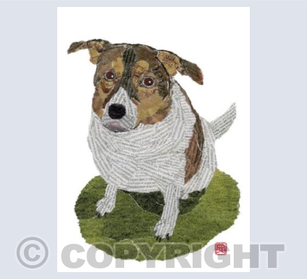 Dog in the Field