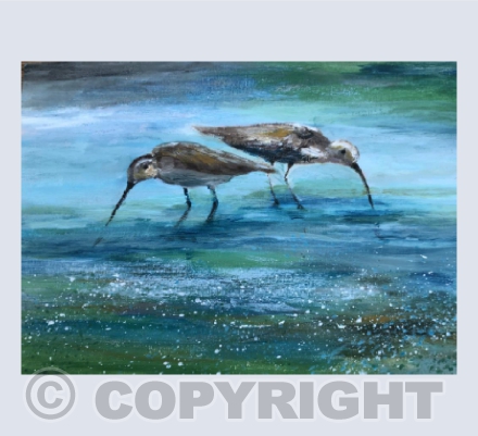 Two wading birds