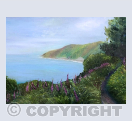 The coastal walk