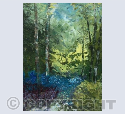 Blue bell wood walk