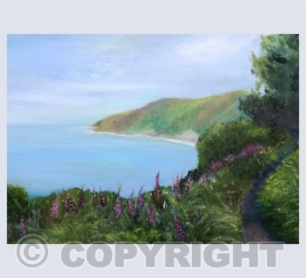 Coast Path