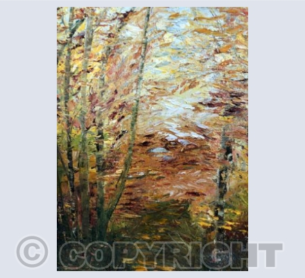Autumn walk