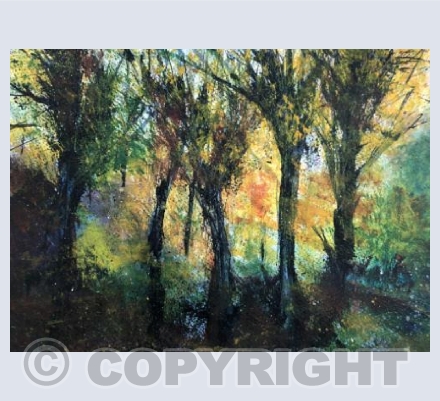 Sunlight and shadows