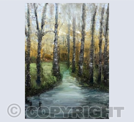 Winter Sun Reflections 