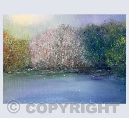 Dawn reflections 