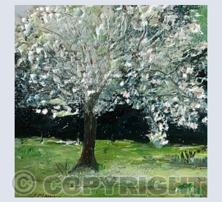 Apple blossom tree