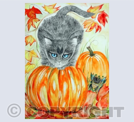 Pumpkin And Boo