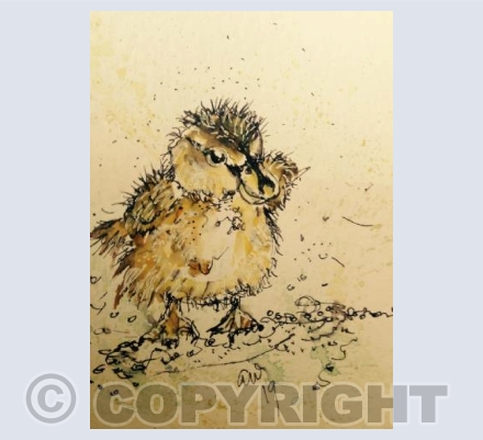 Duckling