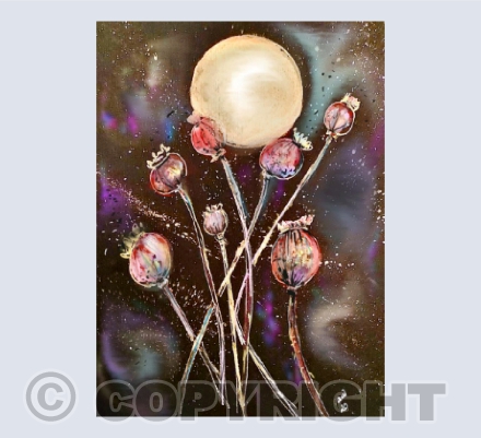 poppy moon