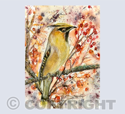 WAXWING