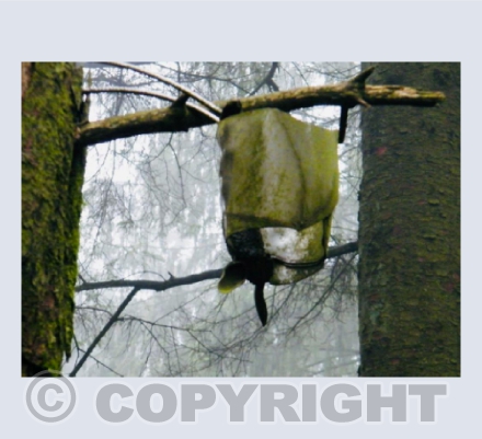 A bat sculpture