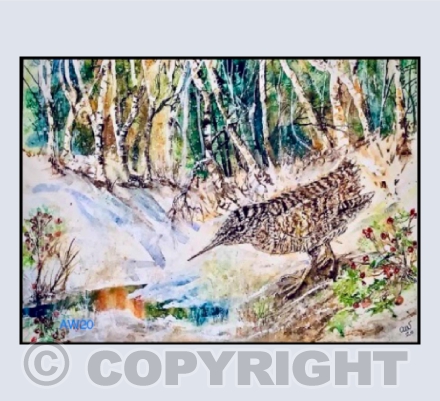The Woodcock
