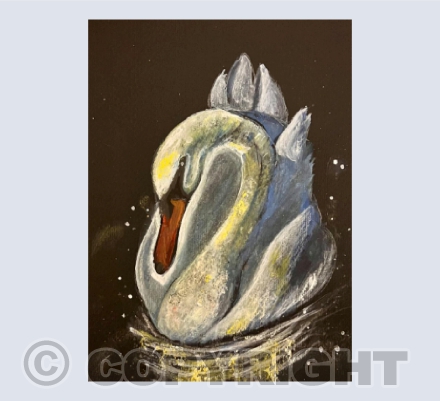 Swan