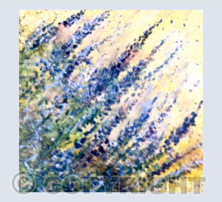 Lavender's Blue Dilly Dilly