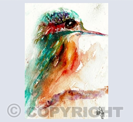 Kingfisher