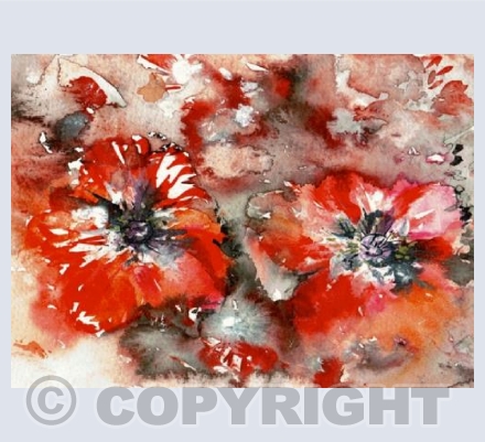 Red Poppies