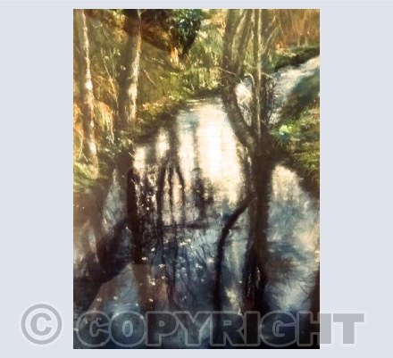 Moon lit Stream