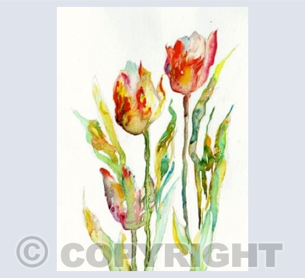 Watercolour Tulips