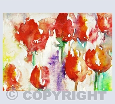 Tulip