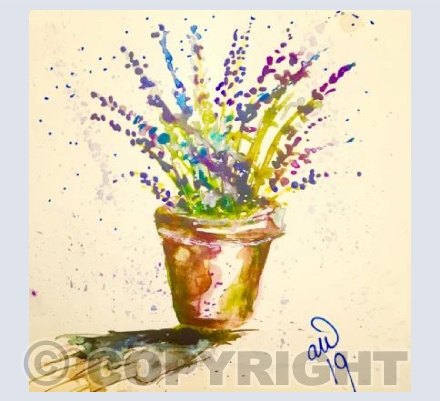 Pot of Lavender