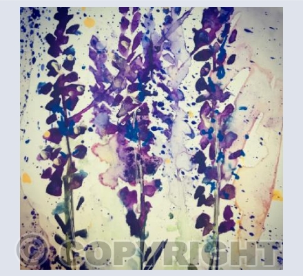 Sprigs of Lavender 