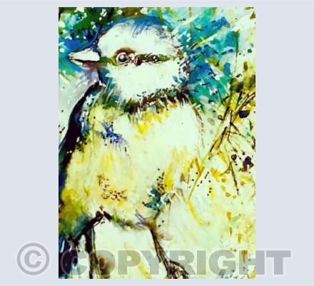 Blue tit