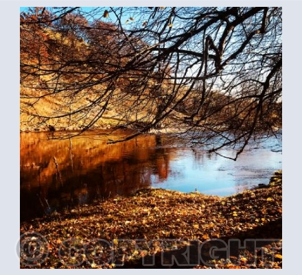 Autumn reflection