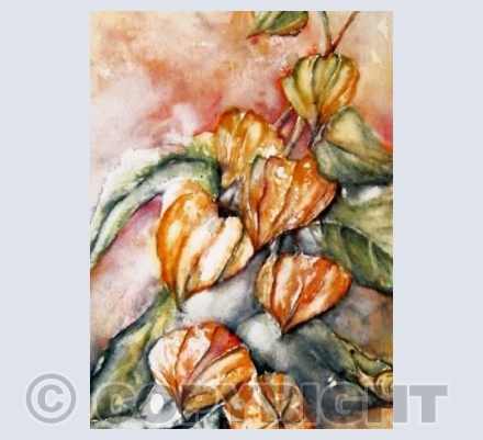 Chinese Lantern