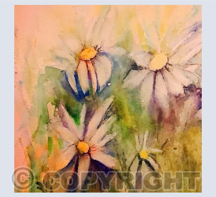 Daisy Days