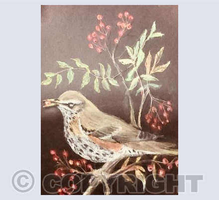 Redwing with Rowan Berry 